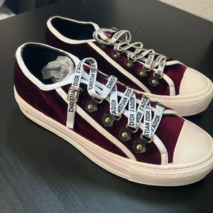 Christian Dior velvet shoes